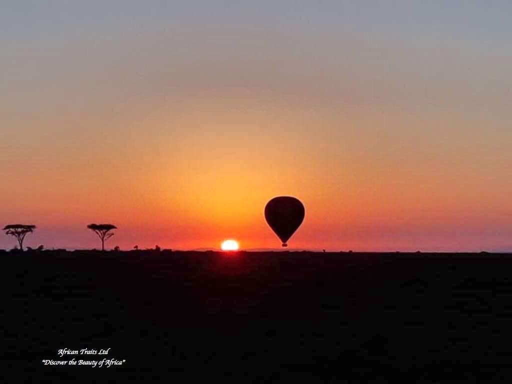 AfricanTraits's tweet photo. The sun in Africa is a mind blowing. Come and experience our incredible early morning game drivers or see wildlife from above.

🌍 https://t.co/hQ6AuOUjKw

#baloonsafari #serengetinationalpark #tarangirenationalpark #gamedrives #holiday #summerholidays #africa https://t.co/ON9O2KYDgw