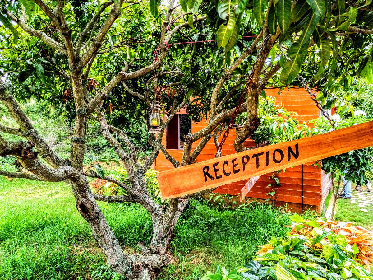 nsunilv1168's tweet photo. A day well organized by @TruSpeQGroup and happily enjoyed the team outing at #QMango forest resort. So many #adventuresports where I got to experience #Zipline, #Rappelling, #kayaking and games like #HumanFoosball, #MudVolleyBall . #Superteam, #HappySaturday https://t.co/uv1pWWkT6p