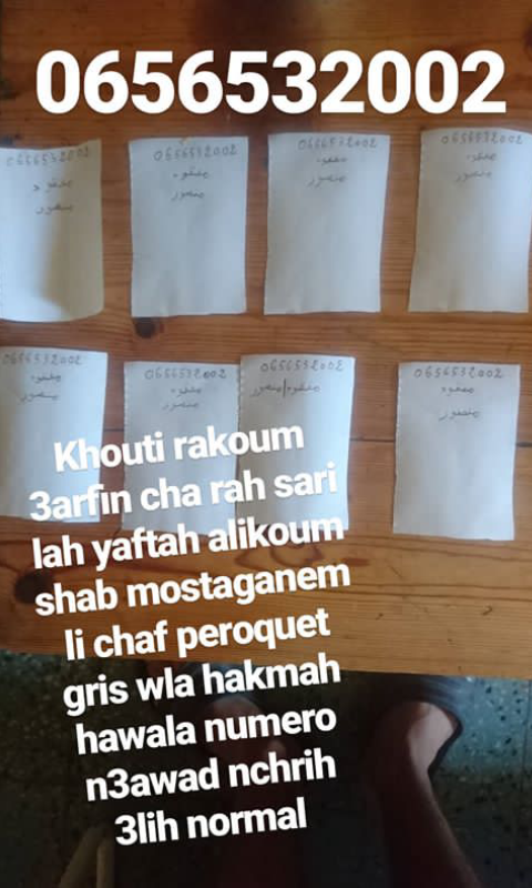 Ilhem_Mahmoudi's tweet photo. يا أهل مستغانم
من فضلكم هذا الشخص من مستغانم اسمه منصور 
ضيع ببغاءه البارح 24/08
أي أحد عنده معلومة او يقدر يساعده يتصل به على الرقم 0656532003
حسابه على intagram : @madoxmansour
من فضلكم رتويت https://t.co/T55t8k65T7