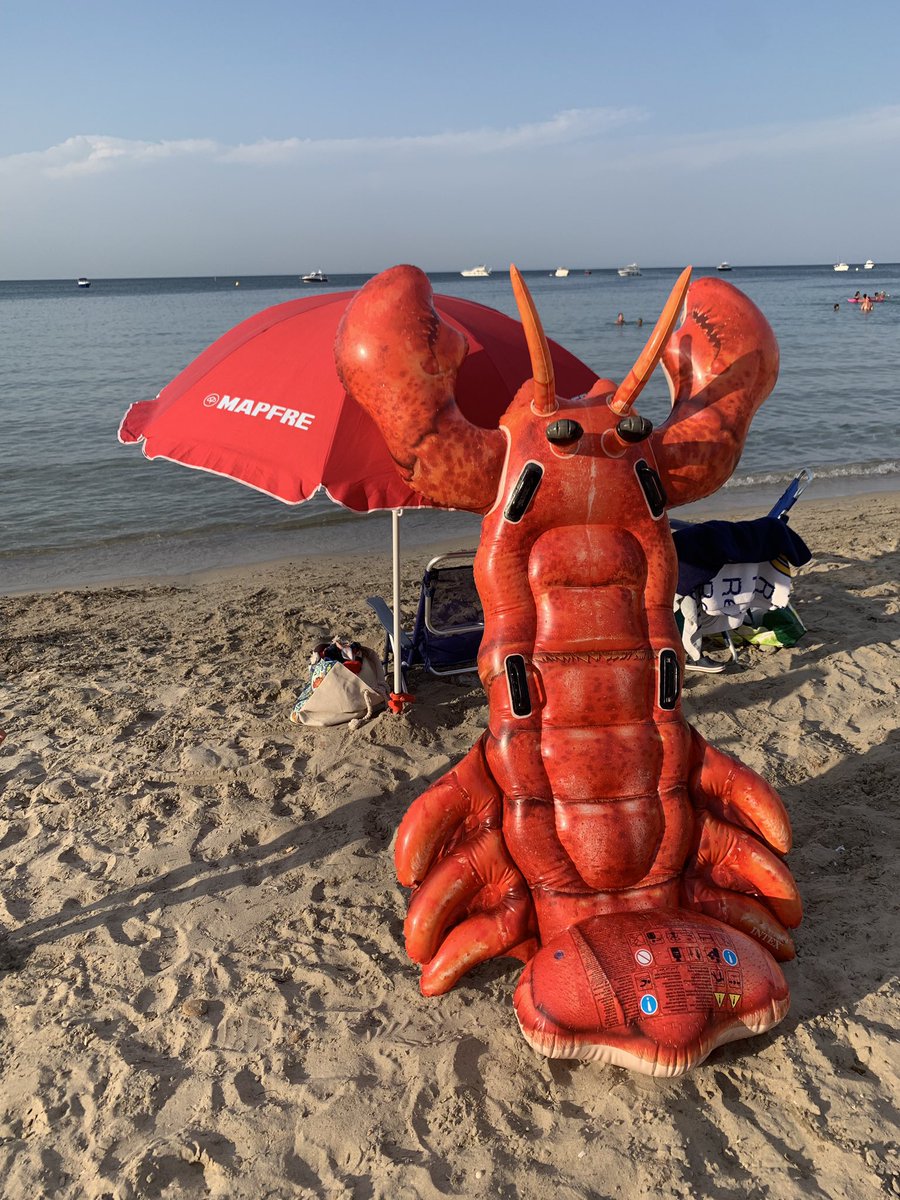 alfmorenilla's tweet photo. @MAPFRE #SomosMAPFRE #MeandMAPFRE Aseguramos a CASI todos los vehículos ..... #lamangaMURCIA #bogavanterojoMAPFRE https://t.co/X78Suz4xxN