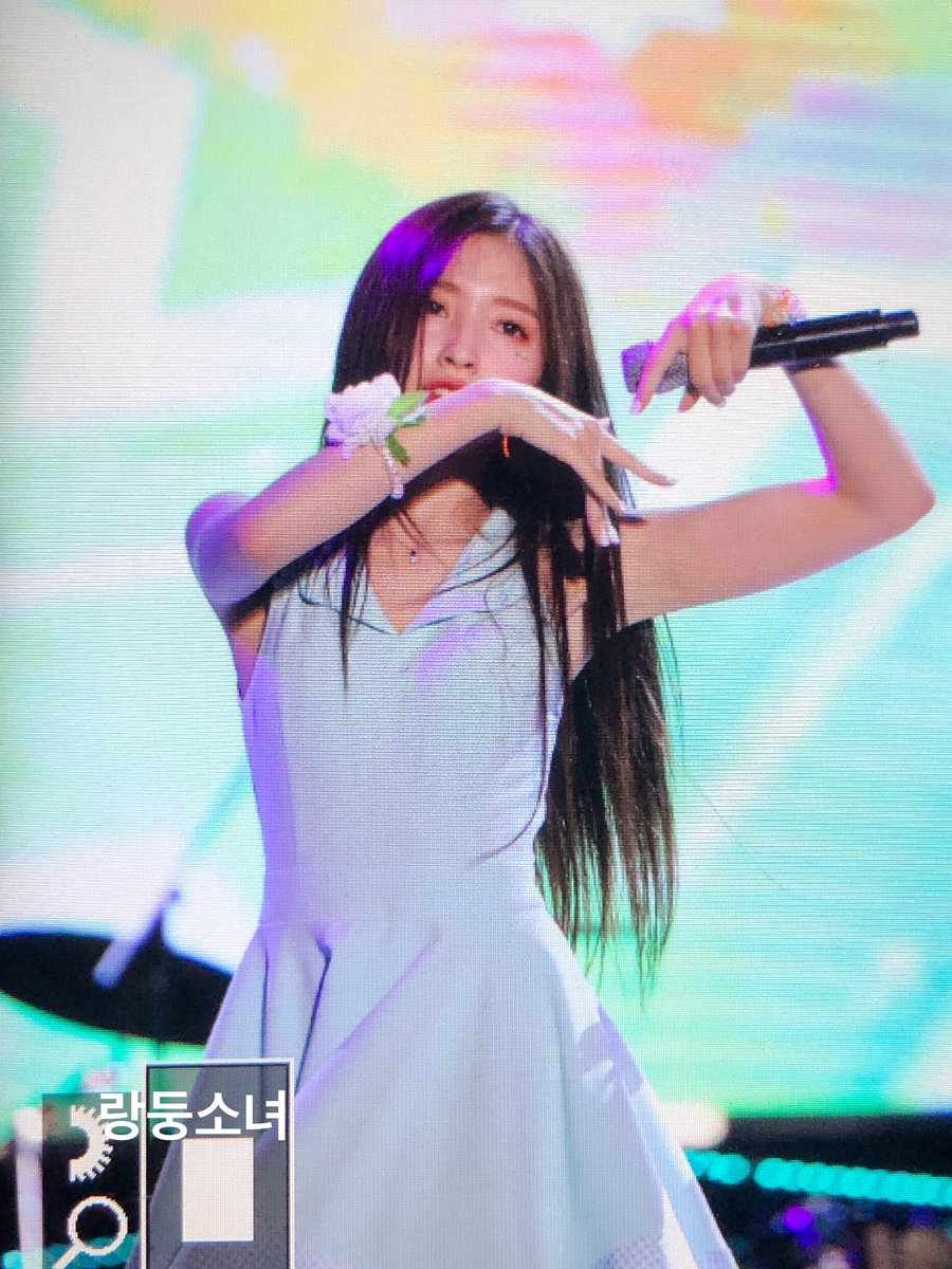 랑둥소녀 tweet media