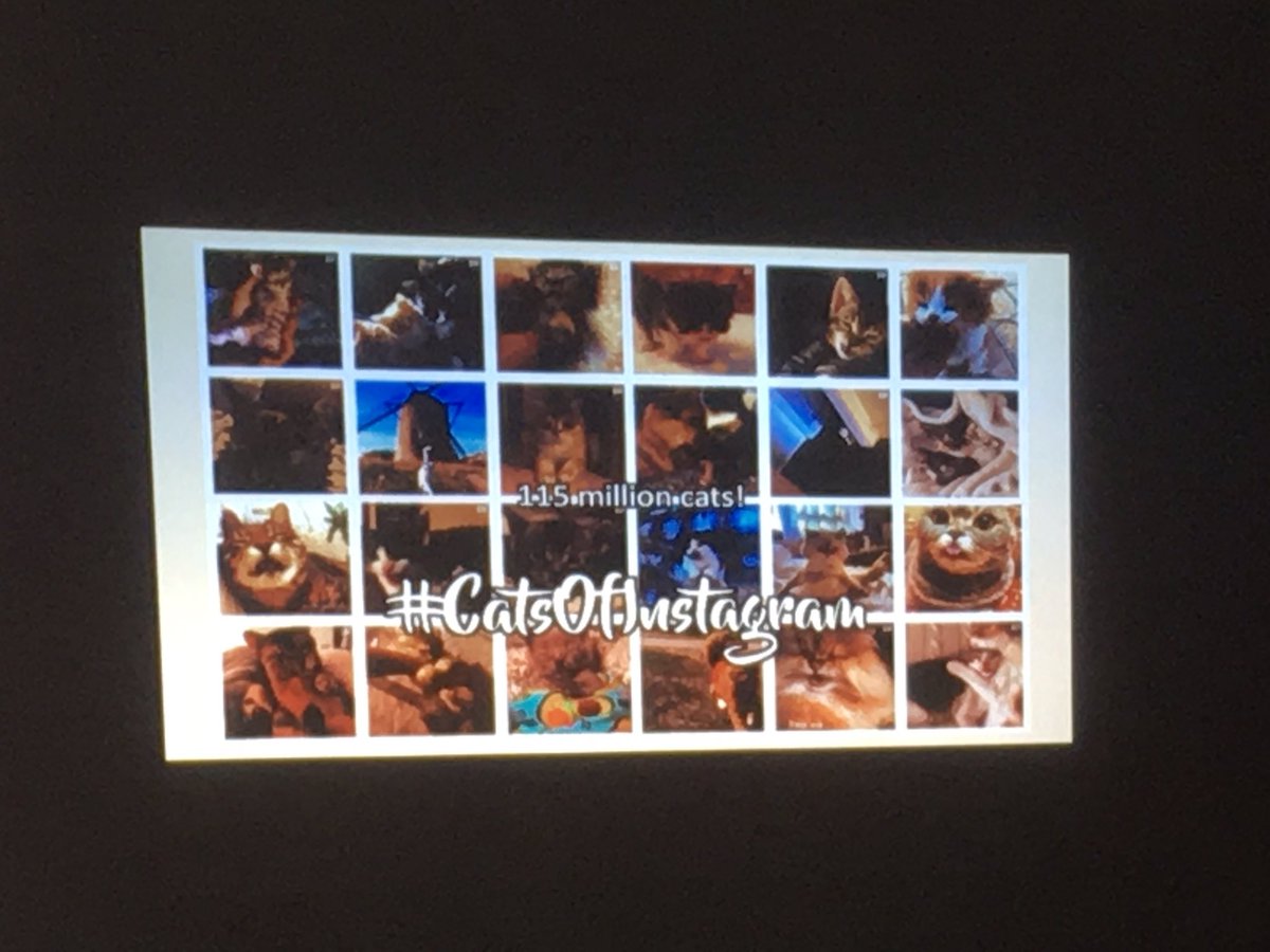 gabbyheffernan's tweet image. Learning about the #InstagramEffect at @TCCFringe thanks to @ScottW_Photo 
#TCCF #Carlisle #CultureVibes #CatsOfInstagram