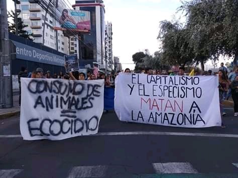 undercarlo's tweet photo. #PrayforAmazonas #PrayAmazonia la industria de la carne devorando la selva. Es necesario cambiar hacia dieta sin animales ni derivados. #vegan si eliges comer carne entonces la selva morirá https://t.co/3Vu12J2KZv