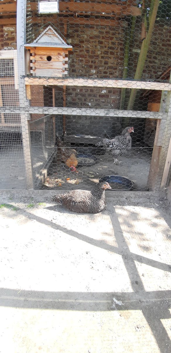 PassionAnimale's tweet photo. https://t.co/McJBkjJFRG