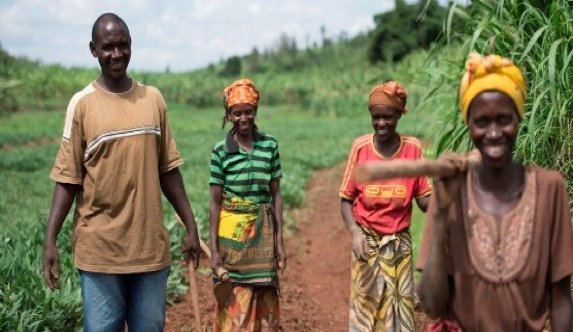 UzayisengaHlne's tweet photo. Did you know that Rwanda is the third largest consumer of #sweetpotato 🍠 in Africa? 9 out of 10 Rwandan households cultivate sweetpotato. #APARwanda2019 https://t.co/Layq8XbqiK