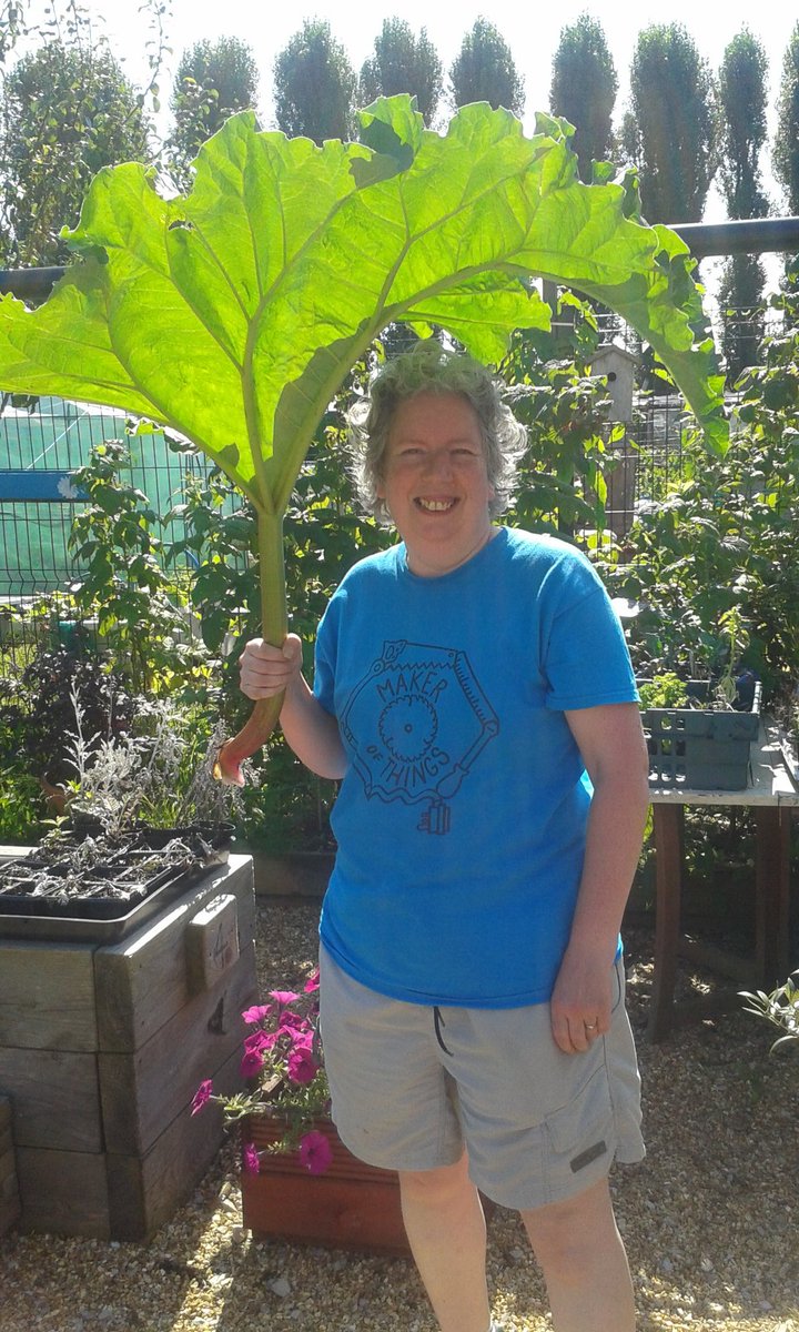 A productive morning harvesting at the <a href="/IncrEdibleSal/">IncrEdible Salford</a> allotment. Very hot though, so I was glad of a parasol.