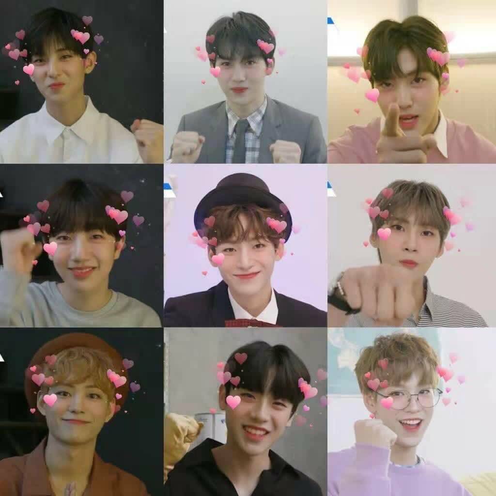 Golld_dong_17's tweet photo. #Dream_By_Nine 바이나인 데뷔시켜주쇼 https://t.co/WQlce3yJKv