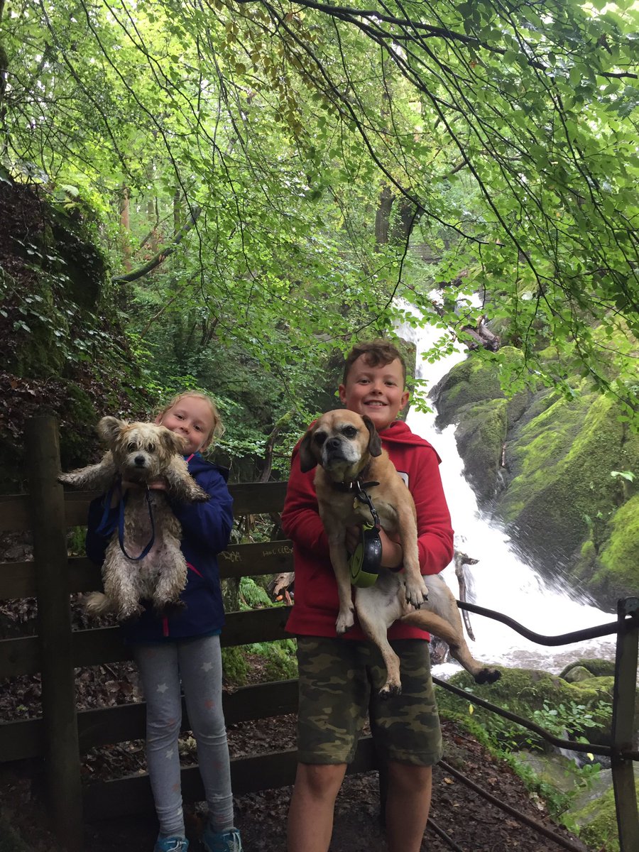 QueenRecycling's tweet photo. #ultimatefamilyjob @ClubMedUK #ScafellPike2019 https://t.co/23EA9FXmQS