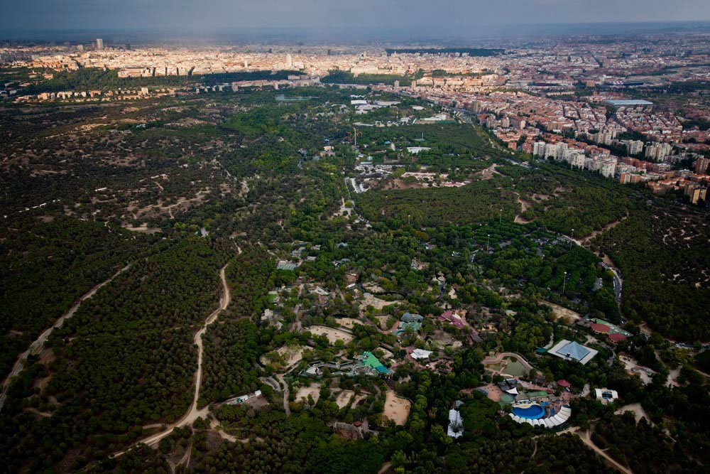 SecretosdeMadri's tweet photo. ¿Sabías que la Casa de Campo se originó en 1519? Es decir, acaba de cumplir 500 años #madrid https://t.co/OpW1K1Syl7