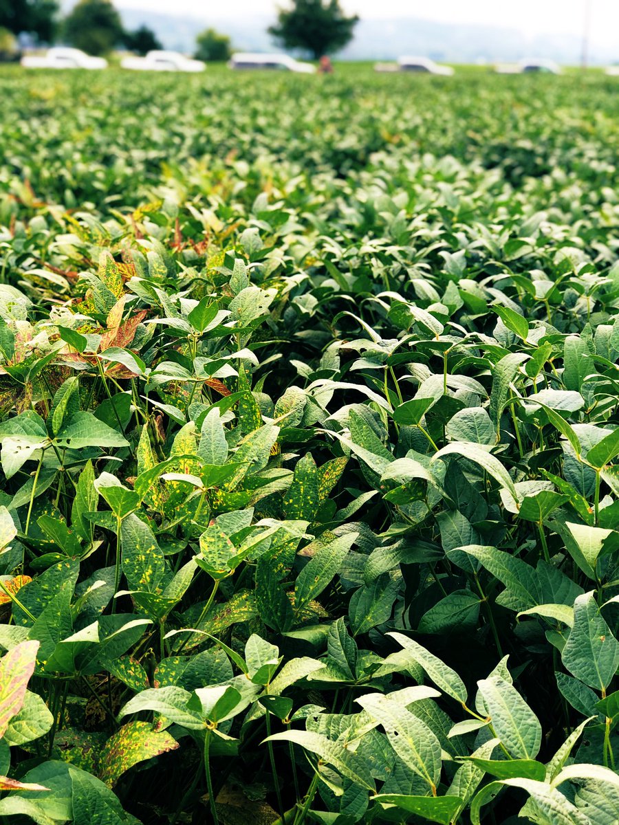 Clay Koenig tweet media