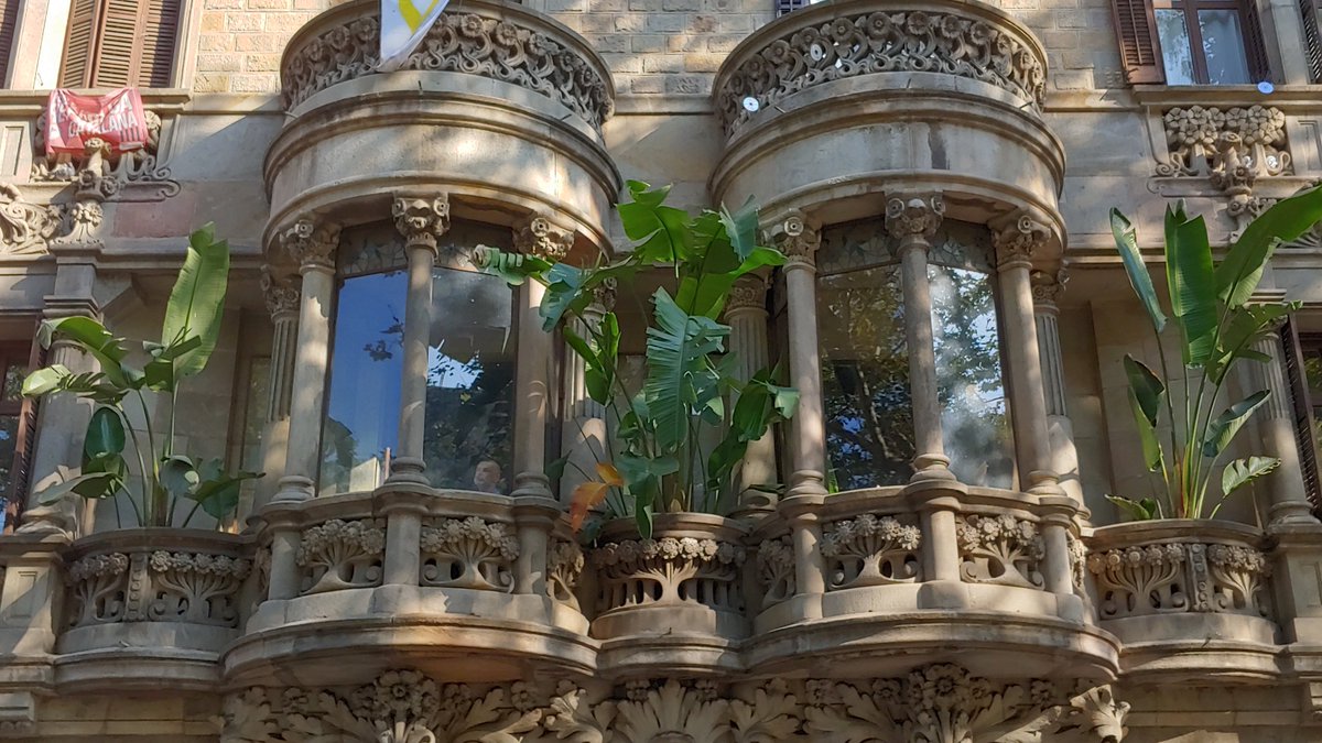 El #Modernisme és així: a vegades no se sap on acaba la vegetació de pedra i on comença la natural! 😉 #Barcelona, un #museu d'arquitectura als carrers #artnouveau #arquitectura