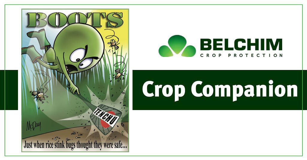 BelchimUSA's tweet photo. BOOTS is a cartoon series featured in #CropCompanion. Sign up for our monthly email newsletter focusing on global innovation with local support by visiting https://t.co/3WifPnoV0i #SundayFunnies #AGLife #AGFun https://t.co/uz89c4Yy9a