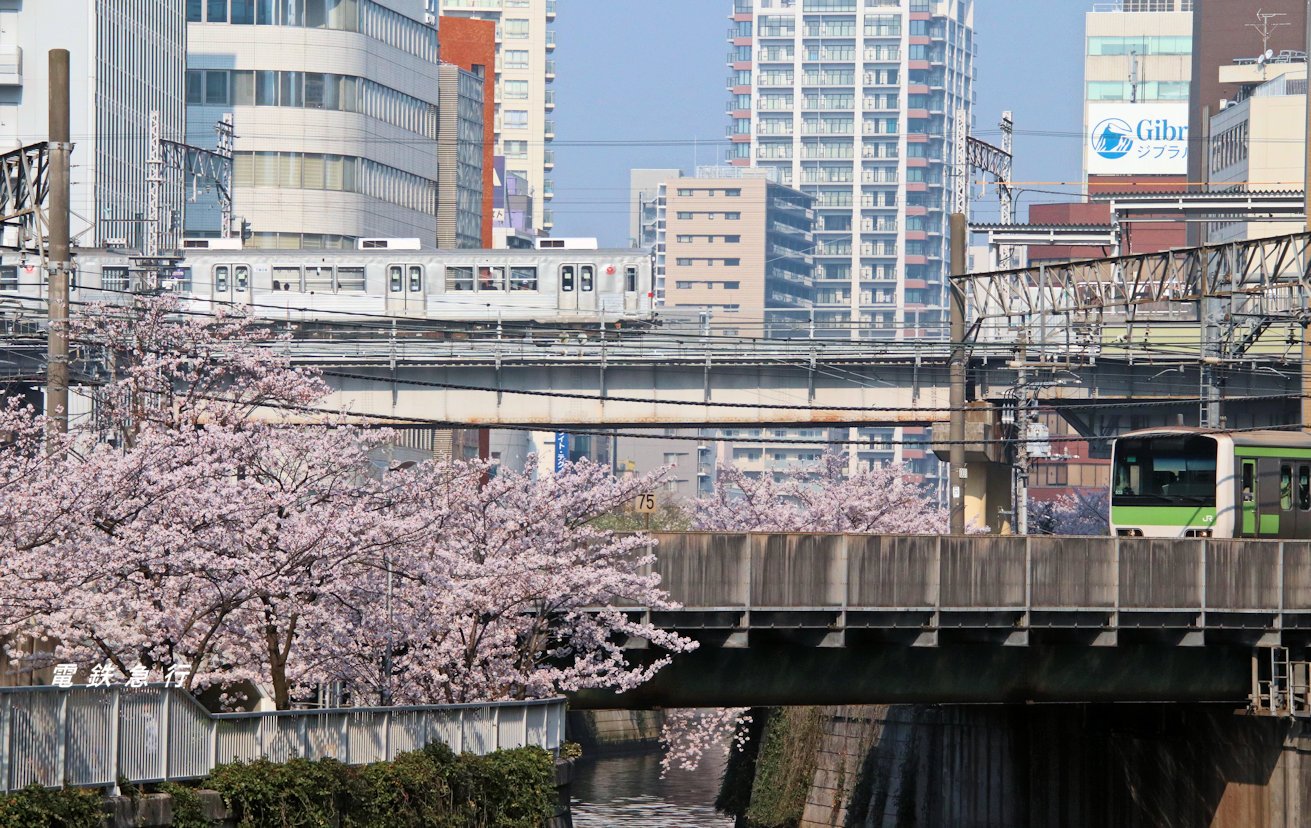 Twitter 上的 電鉄急行 東急線の橋梁風景 田園都市線 大井町線の多摩川橋梁と 池上線の目黒川橋梁は駅から徒歩数分で撮影できるお薦めスポット です あっ 東横線 目黒線の多摩川や 他の鶴見川など全てお手軽撮影地でしたね 東急 T Co Lqfkfkbg7g