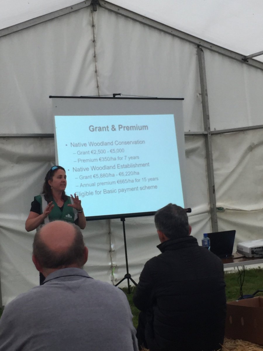 Mary Mulvey tweet media
