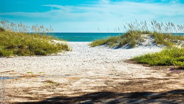 roberto_cerini's tweet photo. Beautiful day at the #beach #family #familytime #florida #tropical #travel #photo #photography #canon #sand #ocean #swim #roberto_cerini https://t.co/KLeqfu8nVc
