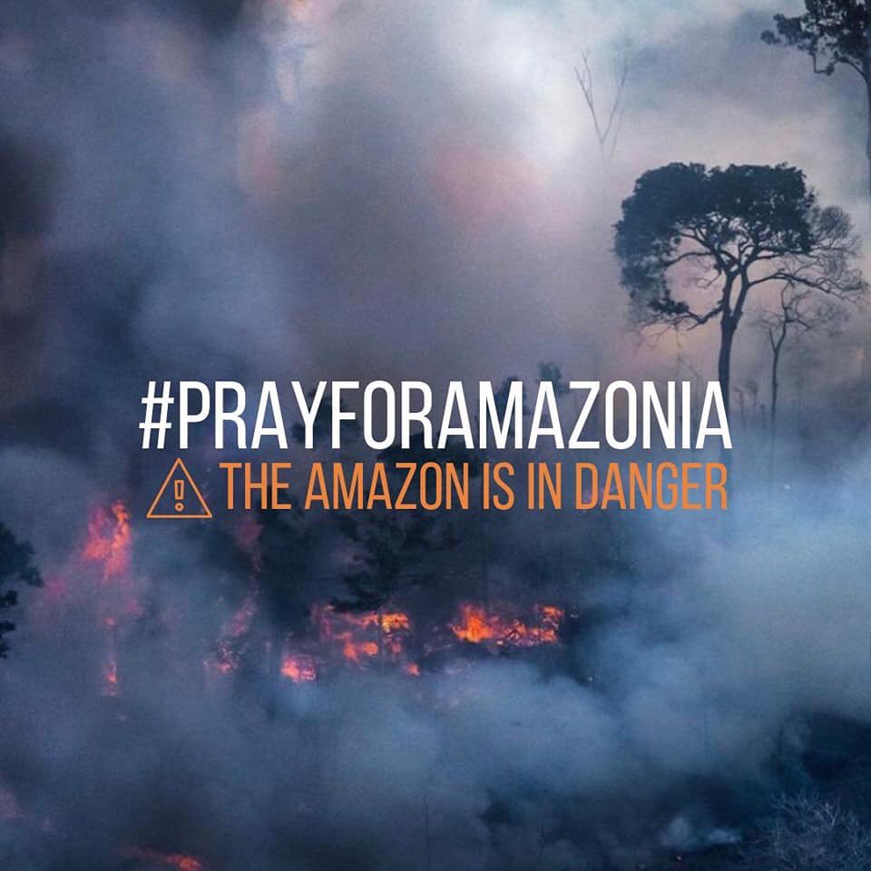 Ailaxy's tweet photo. 🔥Amazonas en llamas🔥

🌍Alerta mundial ante ésta catástrofe, ¡Éso pasa cuando manda la ultraderecha! Bolsonaro no está preocupado, “lo importante para ellos es la especulación y el dinero”😡#AmazonasElPulmóndelPlaneta
#AmazoniaEnLlamas
#AmazonasArde https://t.co/MUFizTNWf3