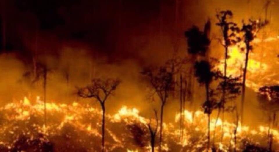 Ailaxy's tweet photo. 🔥Amazonas en llamas🔥

🌍Alerta mundial ante ésta catástrofe, ¡Éso pasa cuando manda la ultraderecha! Bolsonaro no está preocupado, “lo importante para ellos es la especulación y el dinero”😡#AmazonasElPulmóndelPlaneta
#AmazoniaEnLlamas
#AmazonasArde https://t.co/MUFizTNWf3