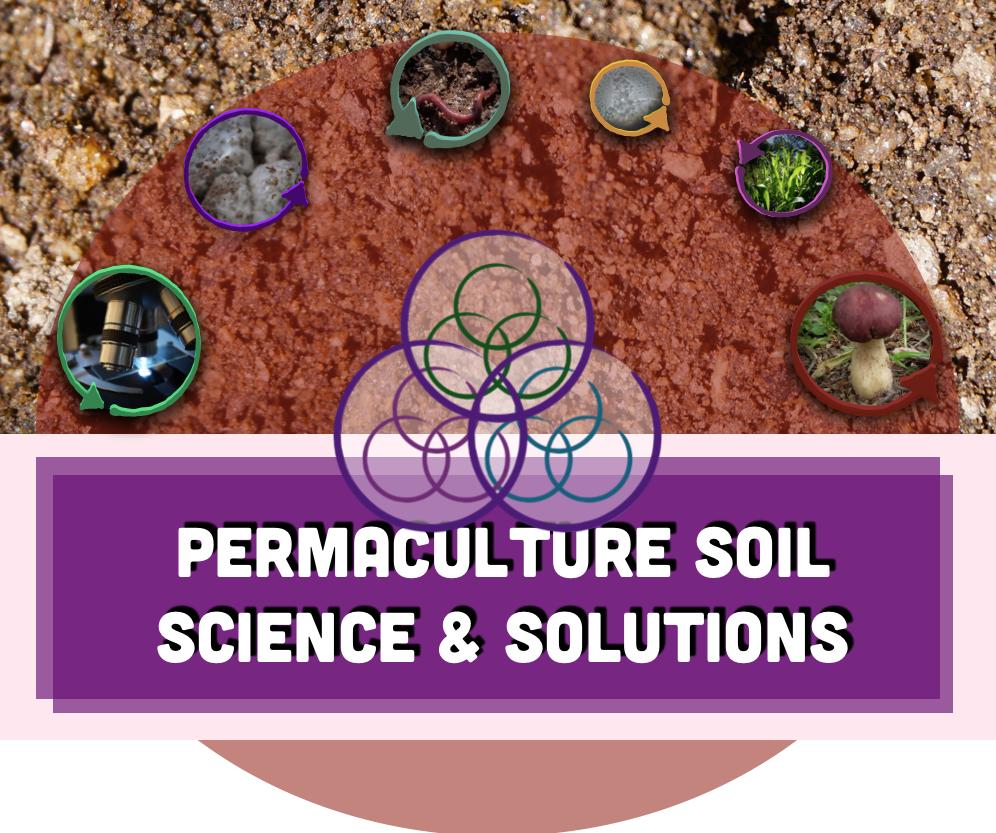 download распределенные базы данных 0