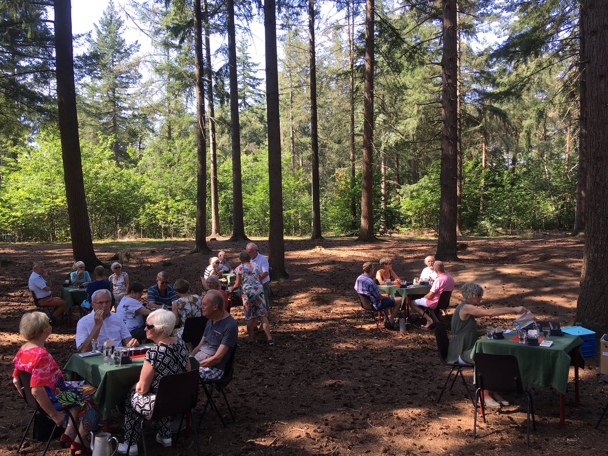 BCJump85's tweet image. Bosdrive 🌞🌲