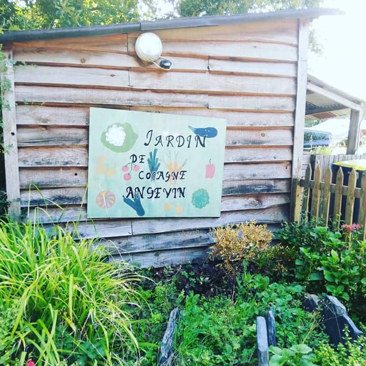 📍Hier, le Tour de France des Communes en Transition s'est arrêté à Angers ! Rencontre avec Le Jardin de Cocagne Angevin qui réalise du maraîchage biologique. 🌾🌿#TFCT #TransitionEcologiqueEtSociale#agriculture
