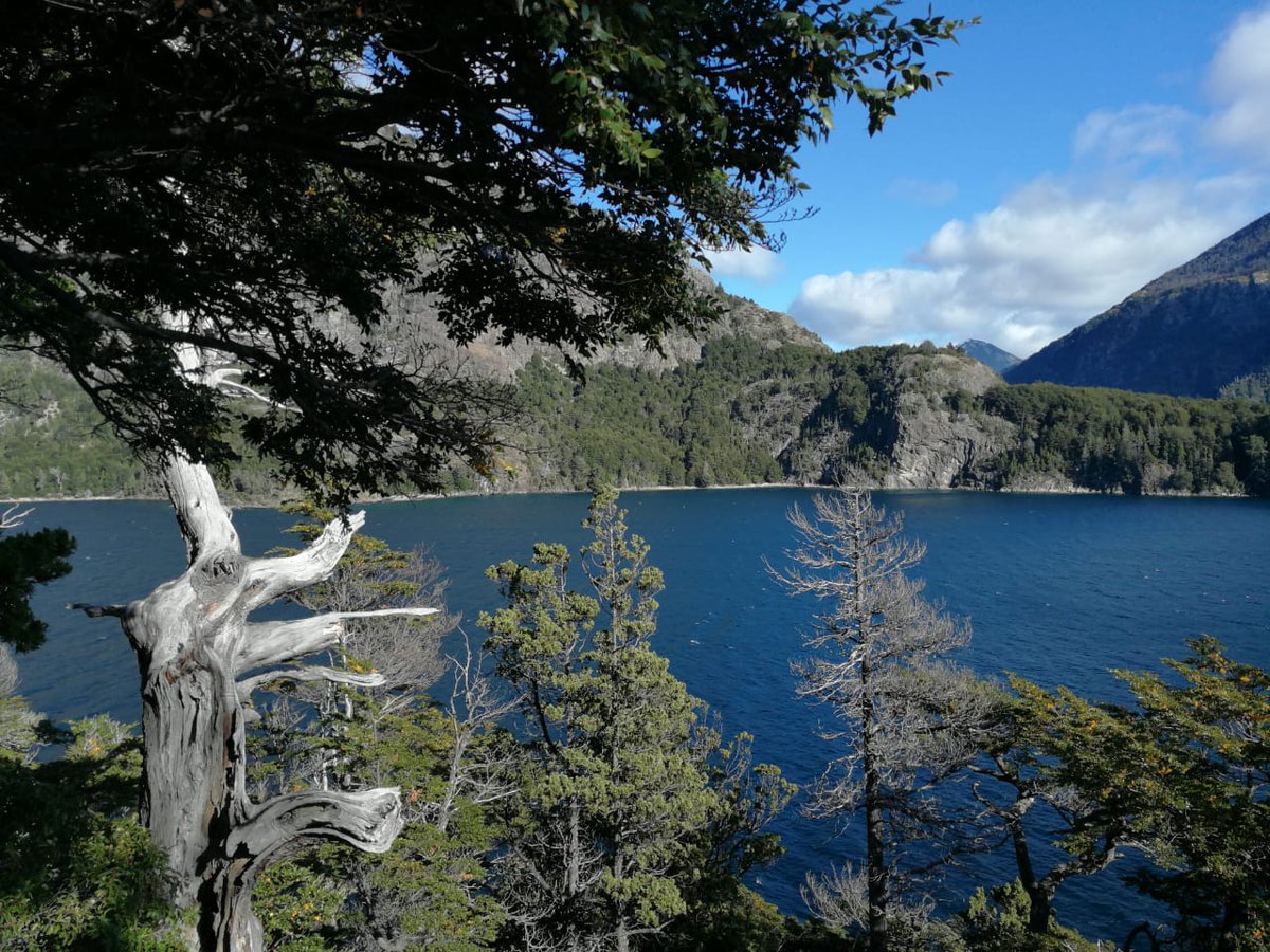 #Bariloche #LagoEscondido #Travel #Patagonia un excelente destino en todas las temporadas, esta foto fue en #otoño