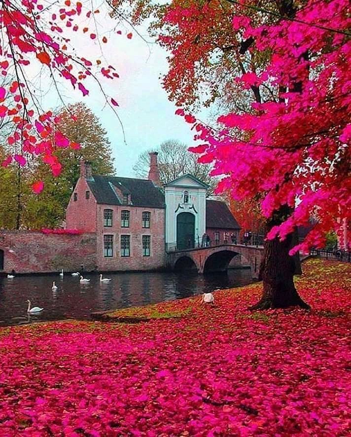 Travel the world and see the most beautiful places. Let's show you the world and the beautiful places.
The Earth is a Paradise.

#EastgateHotels No4, Dreamworld Africana way Eleganza bus stop after 2nd toll gate, Lekki, Lagos.
Call: 08109386999