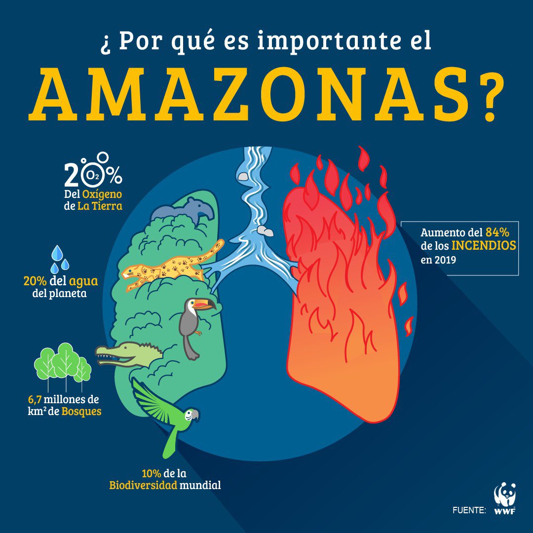 llegopapa's tweet image. El cambio climático es una alarmante realidad. Este año, sus efectos en nuestro país fueron especialmente devastadores para campesinos y productores agropecuarios. Urge actuar contra los incendios en #Amazonía, pulmón de nuestro planeta. #AmazonasSOS