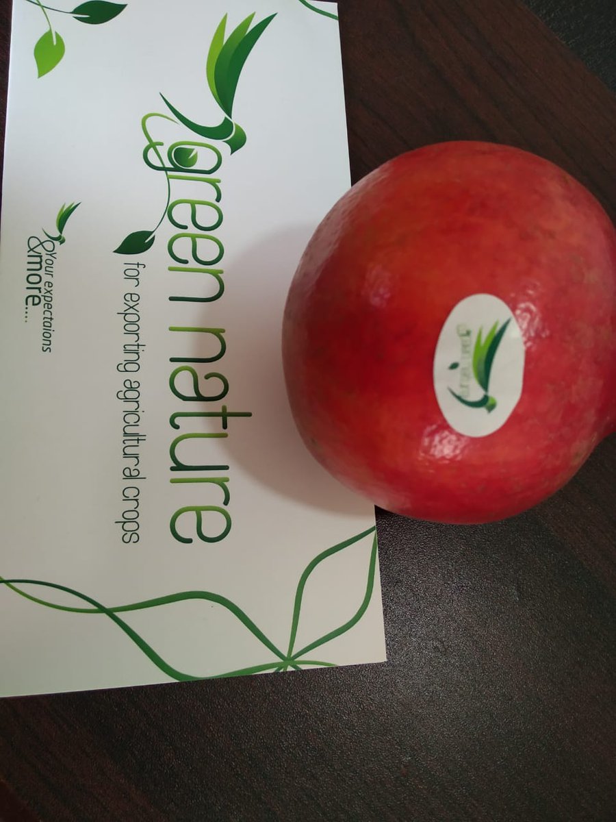 GreenNatureEg's tweet photo. High Quality Pomegranate Are Available In Green Nature . 
 🍒🍎🍐🍊🍋🍉🍇🛳🛳🛳⚓️
Packing : carton 4 kg or plastic box 4 kg .
Origin : Egypt .
For Order Kindly Contact Us .
Email : ezz.farghaly@gnegypt.com
We Chat : ezzferghaly
Wats App : +20 1033351200 https://t.co/mJnP2UCCfy
