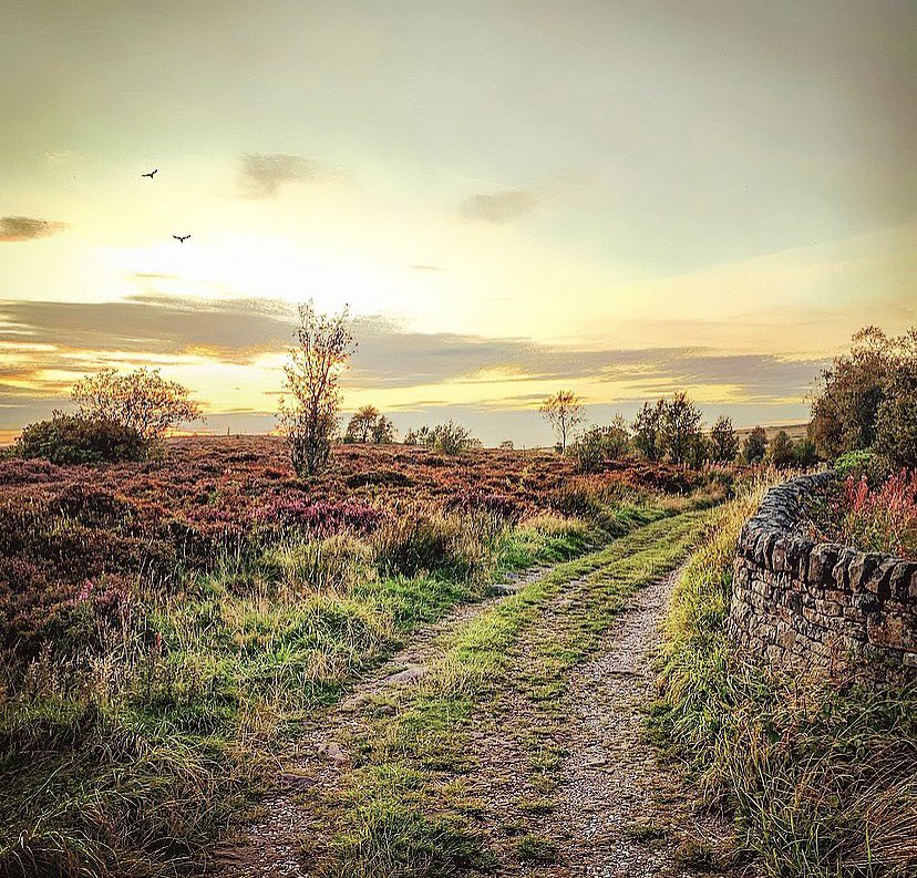 My evening walk. #Derbyshire #photography #Scenery #sheffield #landscapephotography