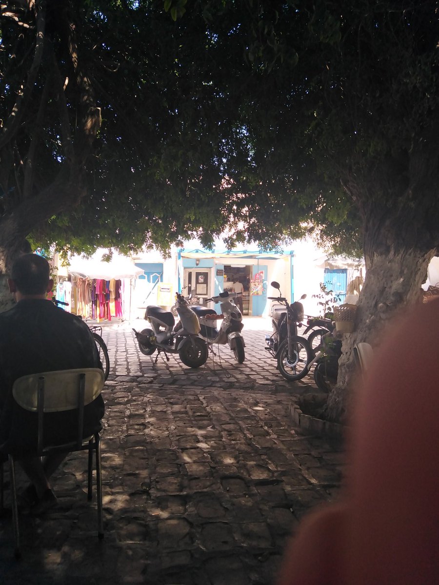 Beb183's tweet photo. A big shout out to Djerbaaa! 🇹🇳✌️

On était bien accueilli dans l'ancienne Recette des Finances durant la période de colonisation à Houmet Souk Djerba!

Les jeunes participants étaient motivés et déterminés, ils ont trouvé des solutions durables et pertinentes! 

@CampsSdg https://t.co/ghPlPZdcMR