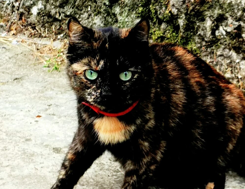 Владислав Дроженко (@drozhenkovlad) on Twitter photo 