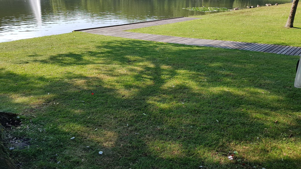 Laura52444821's tweet photo. Melding van de teamleider zuiderpark dat 2 vuilniszakken waren verscheurd door kokmeuwen ter plaatse gekomen en weer netjes opgeruimd. https://t.co/SIuyABfPfD