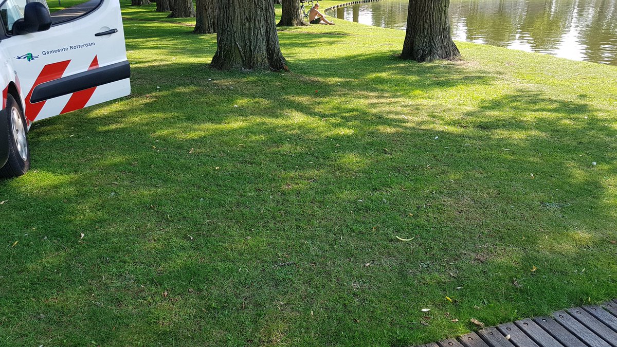 Melding van de teamleider zuiderpark dat 2 vuilniszakken waren verscheurd door kokmeuwen ter plaatse gekomen en weer netjes opgeruimd.