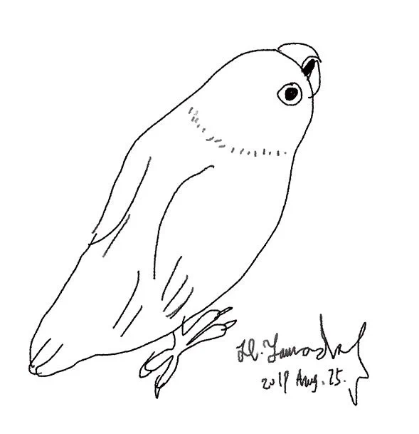 今日の一枚No.237(No.2827)19/08/25
「良いことが起こります」 