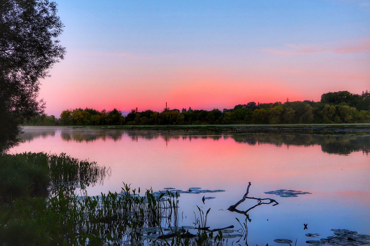 Morning photos in Hespeler @cityofcambridge @cbridgeca #hespeler #millpond