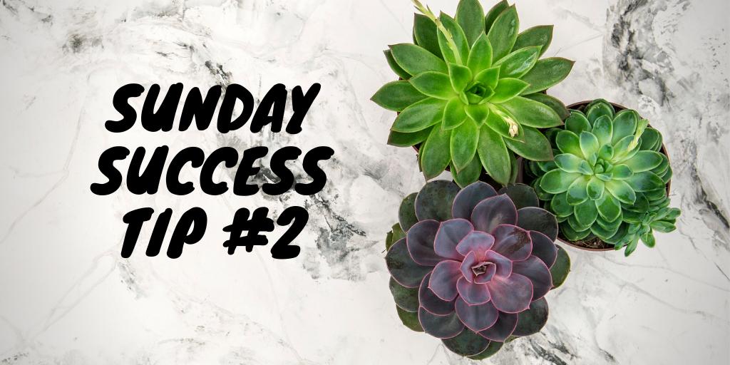 SaintLeoCAS's tweet photo. You're settled into classes. It is time to get yourself organized by getting a reliable WRITTEN day planner. Studies show that writing down your goals means that you're more likely to achieve them. What planner do you LOVE to use? #sundaysuccesstip #transferrableskills https://t.co/B789nMASJ1