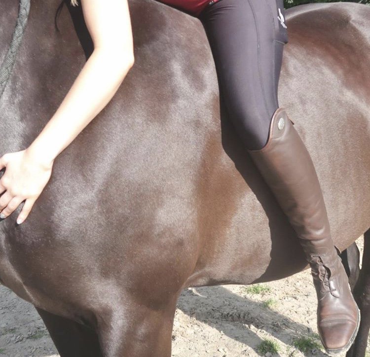 LD Equestrian tweet media