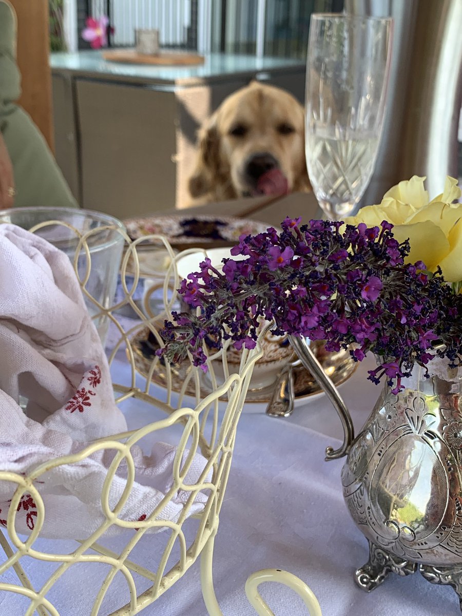 Afternoon tea in the garden, everything homemade from scones to sandwiches and my first ever lemon macaroons 😍🥂☀️🌈🧁(and hector watching closely) 💖