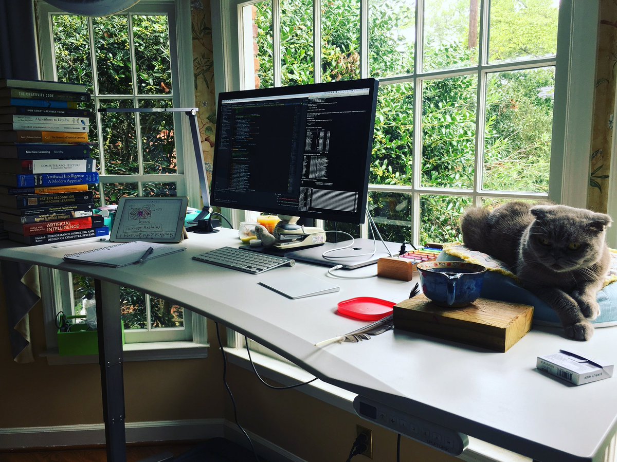 Philipp Leitner On Twitter Do You Have A Cat Bed On Your Desk