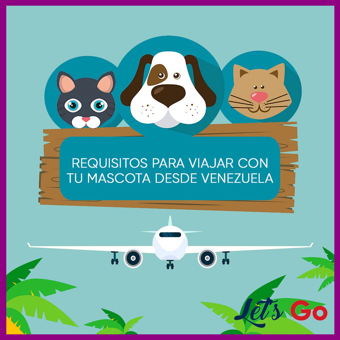 lebrahins's tweet photo. 🌎✈Seguimos activos🙋🏻‍♂🙋🏻 cotizando 👨🏻‍💻👩🏻‍💻, atendiendo tus requerimientos 📞, hacer tus reservas 💻📲 y lo mejor cerrando tus ventas 🤝🏼.
*Domingo de cierres exitosos* puesto que hoy es más económico 👌🏼 y disponemos de cantidad de cupos 😃#yosoyfreelanceletsgo.@letsgotravel. https://t.co/l5ie42RVkA