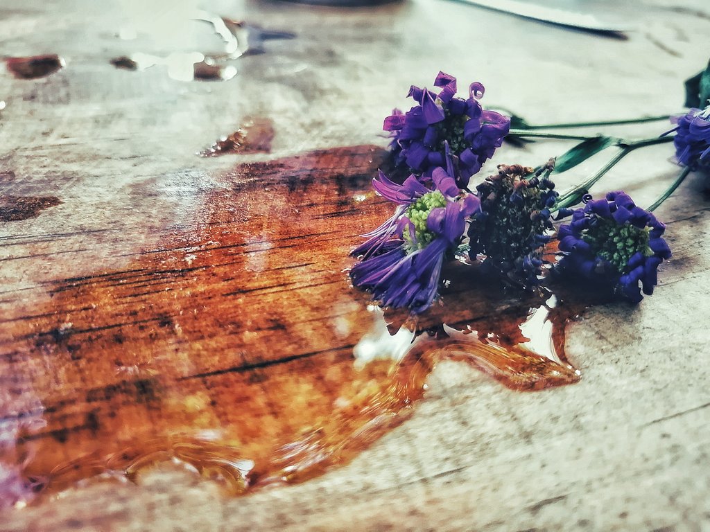 marimberochucho's tweet photo. Rastros de lluvia. Agosto 2019.
#flora #igersChiapas #igersmexico #naturaleza #nature #lluvias #lluvias #agua #aguadelluvia #colores🎨 #charco #reflejos #chiapas #huaweip30 #comitefotomx 
@huaweimobilemx @comitefotomx @dzoom @xataka @mexicoesfotografia @nature_org @unam_mx https://t.co/rGXuEwz3in