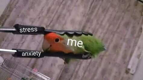 Computeristicly's tweet photo. Every fucking day 😀🙂😀
#SundayMorning #SundayThoughts
#SundayFunday
#burnout #stress #stressmanagement #worksuccess #anxiety #anxietytech #anxious #anxietyproblems #anxietymemes #Memes #Millennials #OurPlanet #OurLungsAreOnFire #depressed #DepressionIsReal #depress #Depression https://t.co/yqFcRO8M45