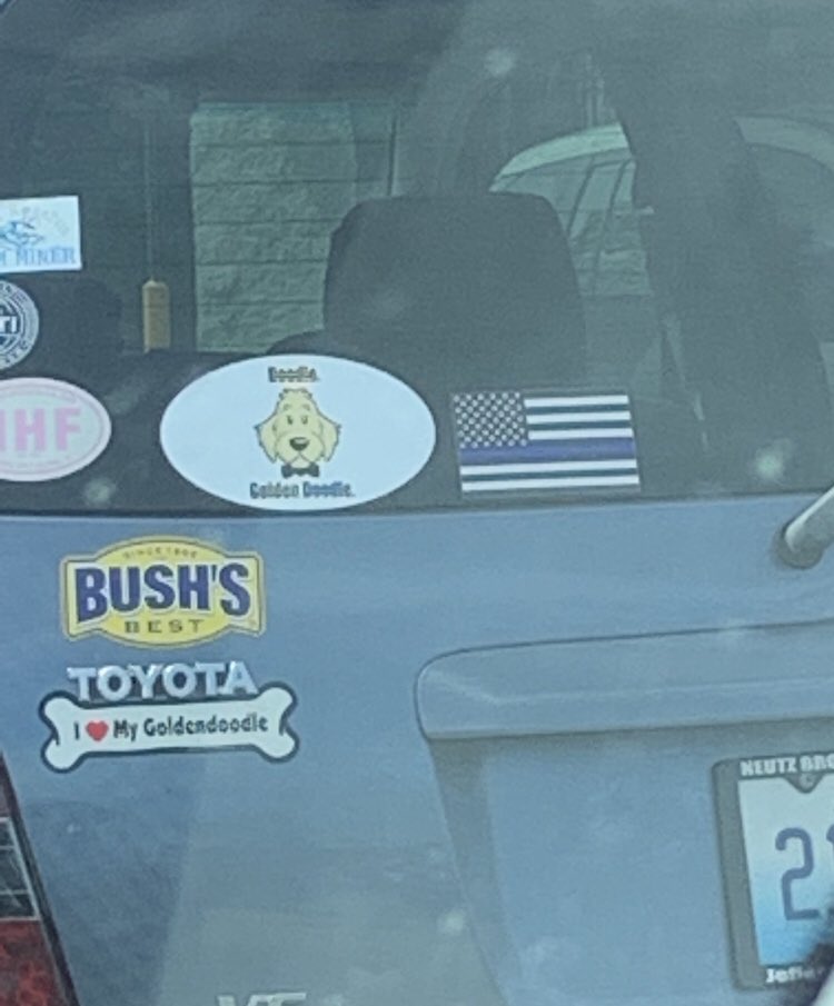 crossroadslost's tweet image. #bushbeansmatter @BushBaked #rollthatbeautifulbeanfootage