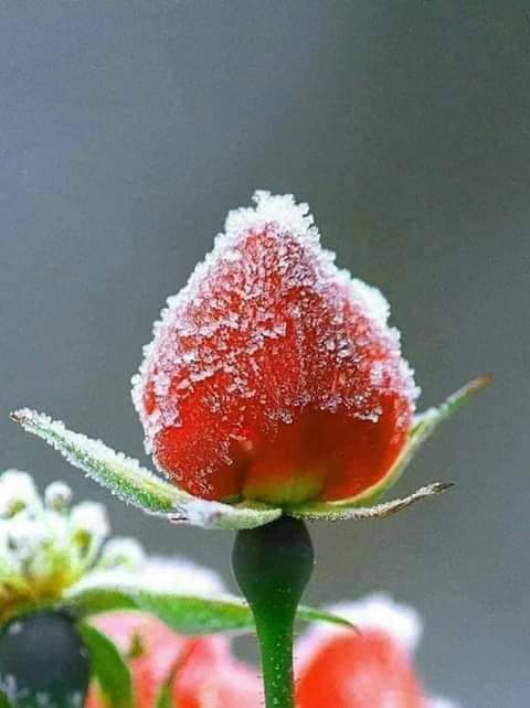 ƯỚP TẨM GIA VỊ