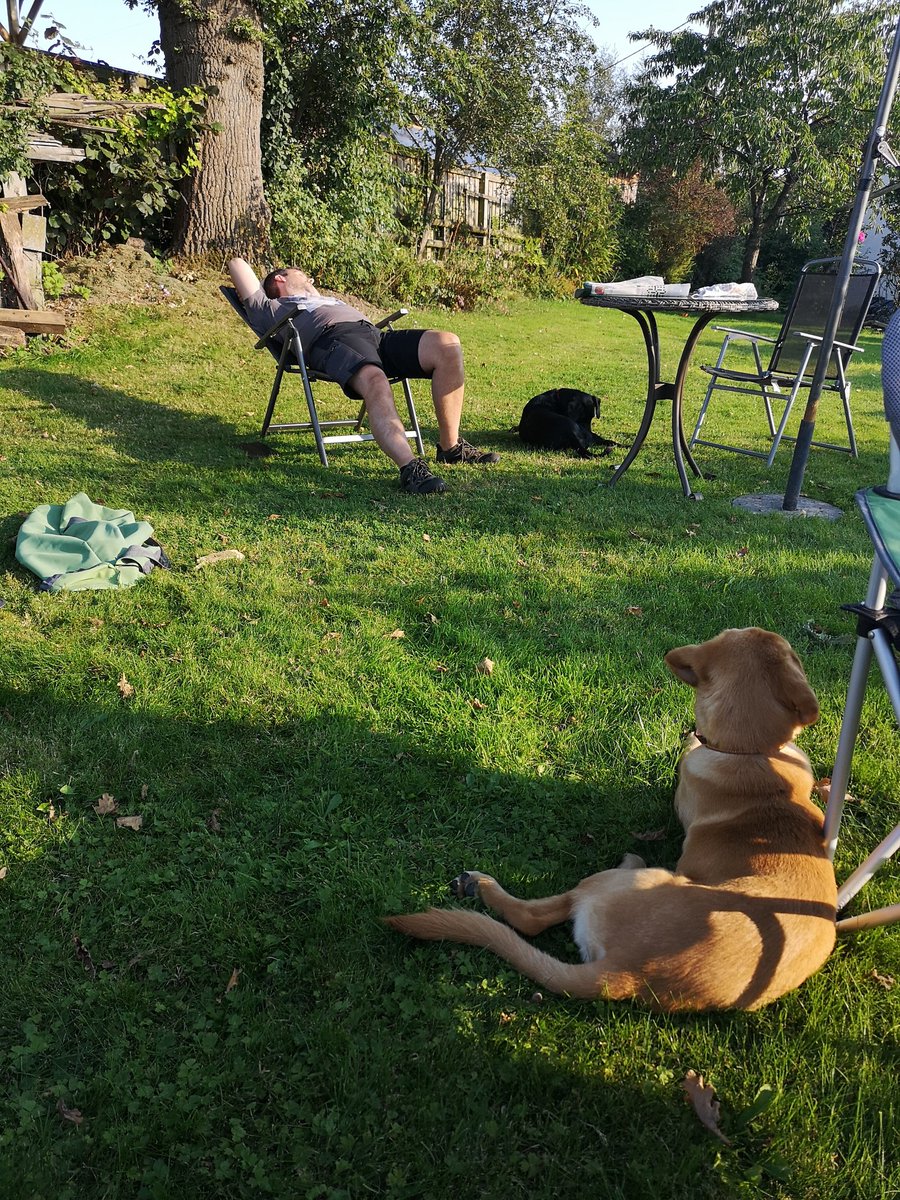 allietaylor68's tweet photo. Relaxing at my parents' house with the dogs 👍
#Sundayinthesun https://t.co/gsMXB3GFyY