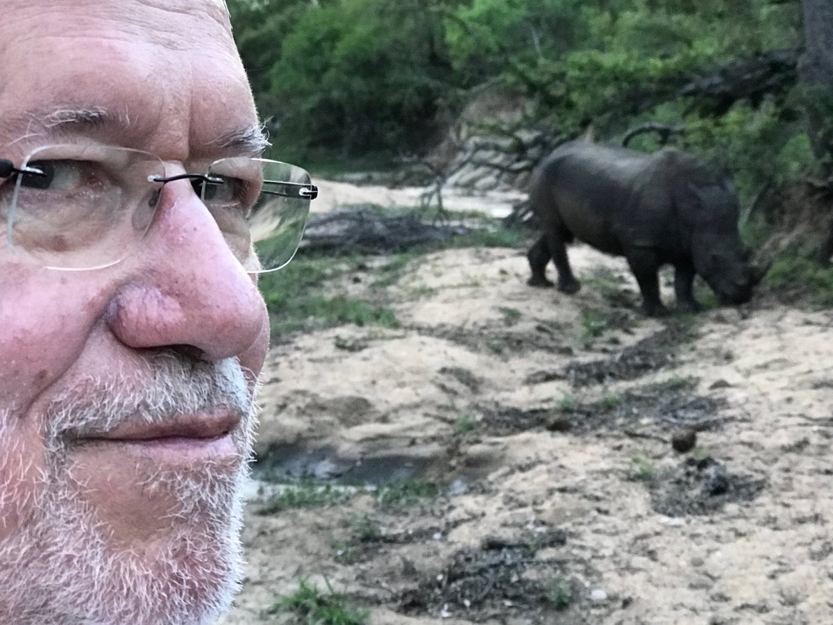 Rinocerontes amazônicos antes de 1º de janeiro. Agora extintos.