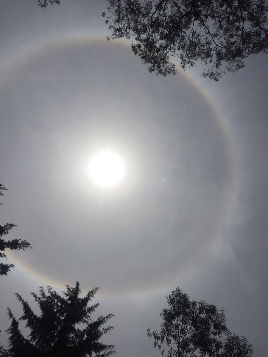 OGFrostX3's tweet photo. Y qué tal el anillo alrededor del sol!!!
#anilloSolar https://t.co/ywCDhRfhzQ