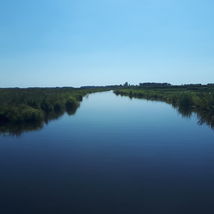 Margarithe Veen tweet media