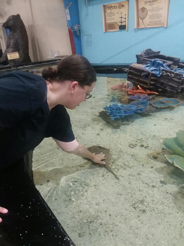 EarnoldMrs's tweet photo. I went to That Fish Place, That Pet Place to stock our tank with fish and stopped to pet the rays in the touch tank while there. #ClassPets #FishInTheClassroom https://t.co/l2OWuX0VHM