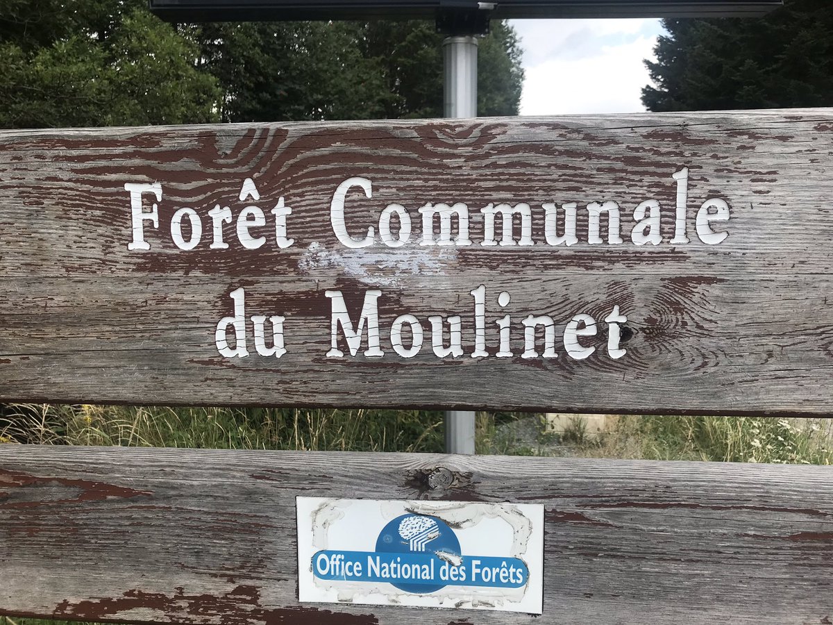 tsunamiflavien's tweet image. de beaux endroits et la bête #specialized #colturini #stmv #R2D2